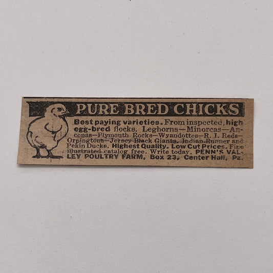 Ley Poultry Farm Pure Bred Chicks Center Hall PA 1926 Ad AG3-S1