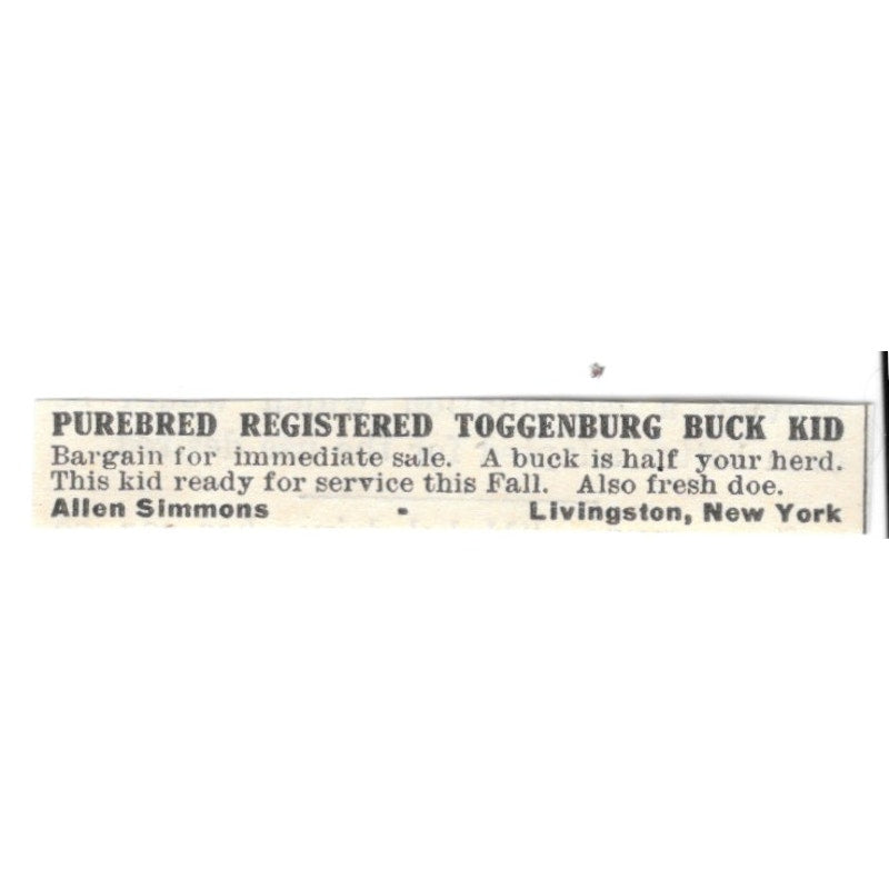 Allen Simmons Purebred Toggenburg Goats Livingston NY 1924 Ad AG3-S7