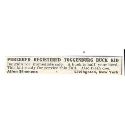 Allen Simmons Purebred Toggenburg Goats Livingston NY 1924 Ad AG3-S7