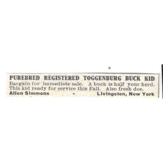 Allen Simmons Purebred Toggenburg Goats Livingston NY 1924 Ad AG3-S7
