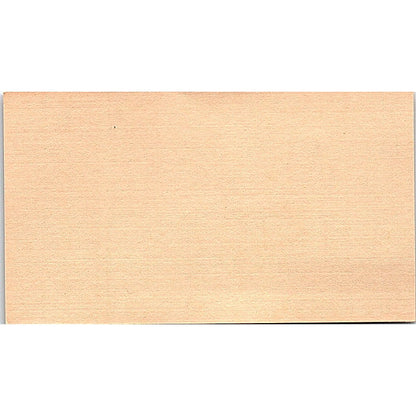 The Great American Plant & Flower Company, Houston, Texas Business Card Sf3-B8