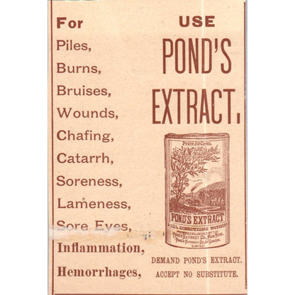 Use Pond's Extract - Pond's Extract Co NY c1890 Victorian Ad AE8-CH6