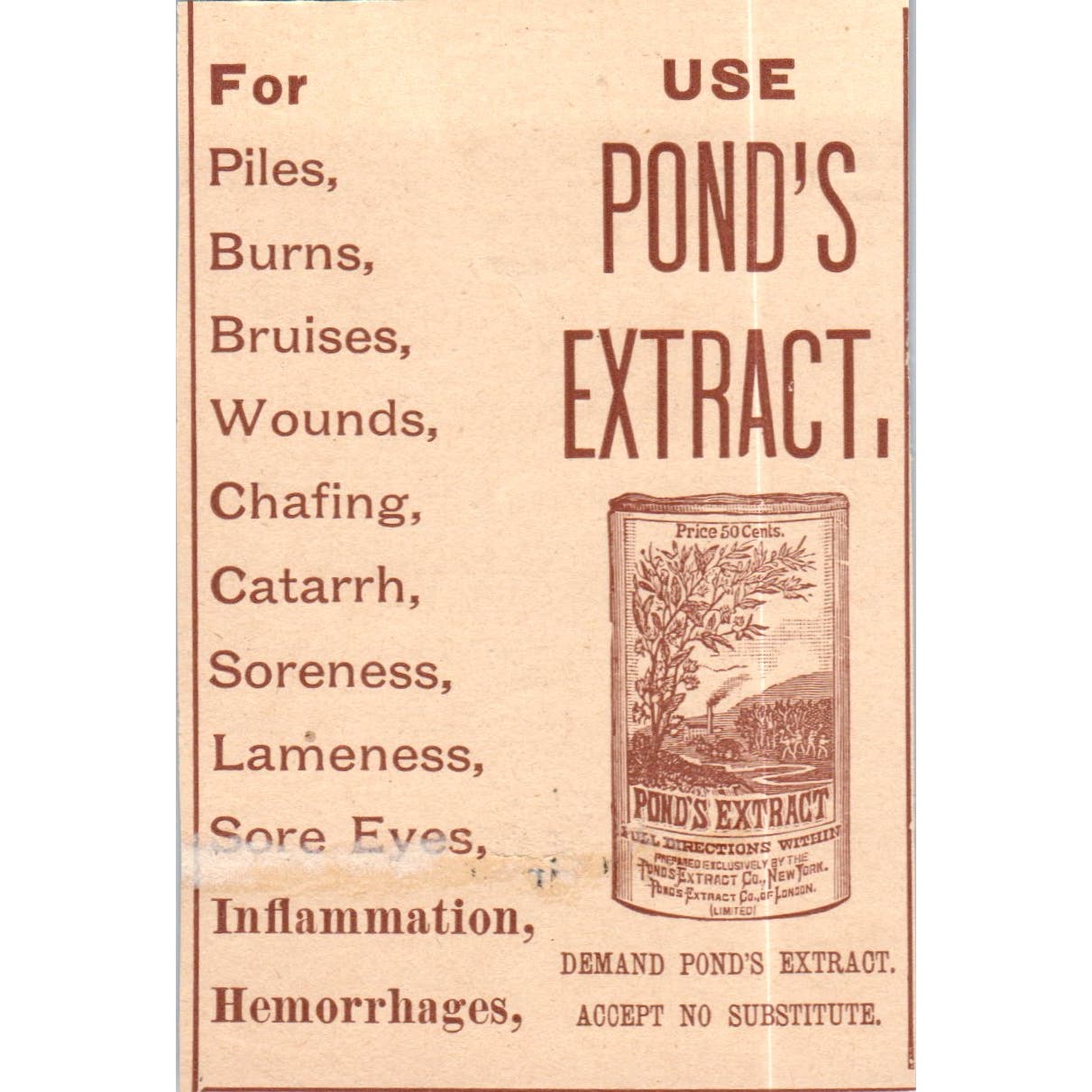 Use Pond's Extract - Pond's Extract Co NY c1890 Victorian Ad AE8-CH6