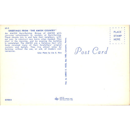 Amish Barn Raising Group Gets Refreshments Pennsylvania Dutch Postcard PD7