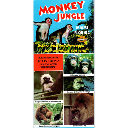 1980s Monkey Jungle Miami Florida Tourist Travel Leaflet TF4-BA