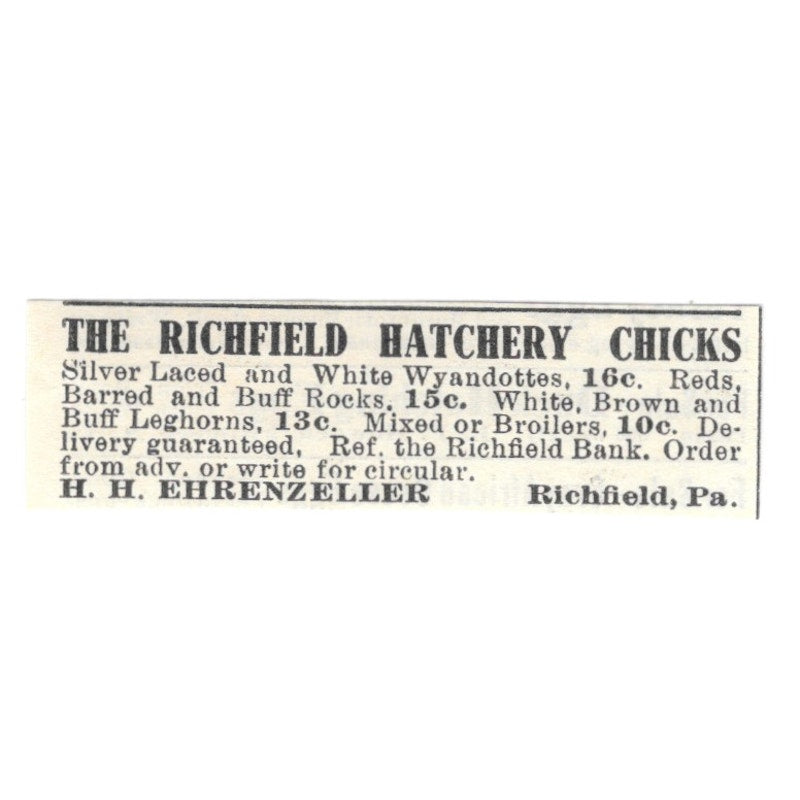The Richfield Hatchery Chicks H.H. Ehrenzeller Richfield PA 1924 Ad AG3-S5