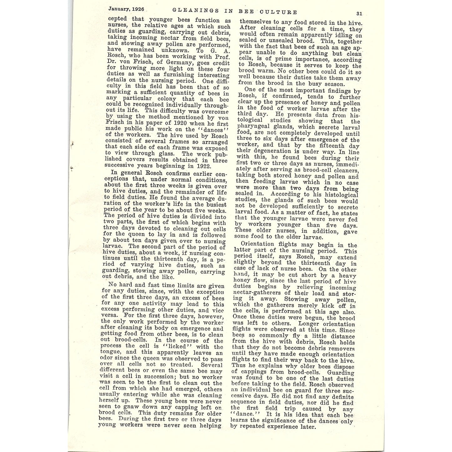 From Foreign Lands by W.J. Nolan 5 Page Beekeeping Article 1926 AG3-9