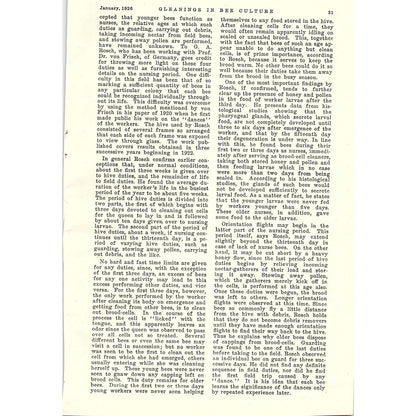 From Foreign Lands by W.J. Nolan 5 Page Beekeeping Article 1926 AG3-9