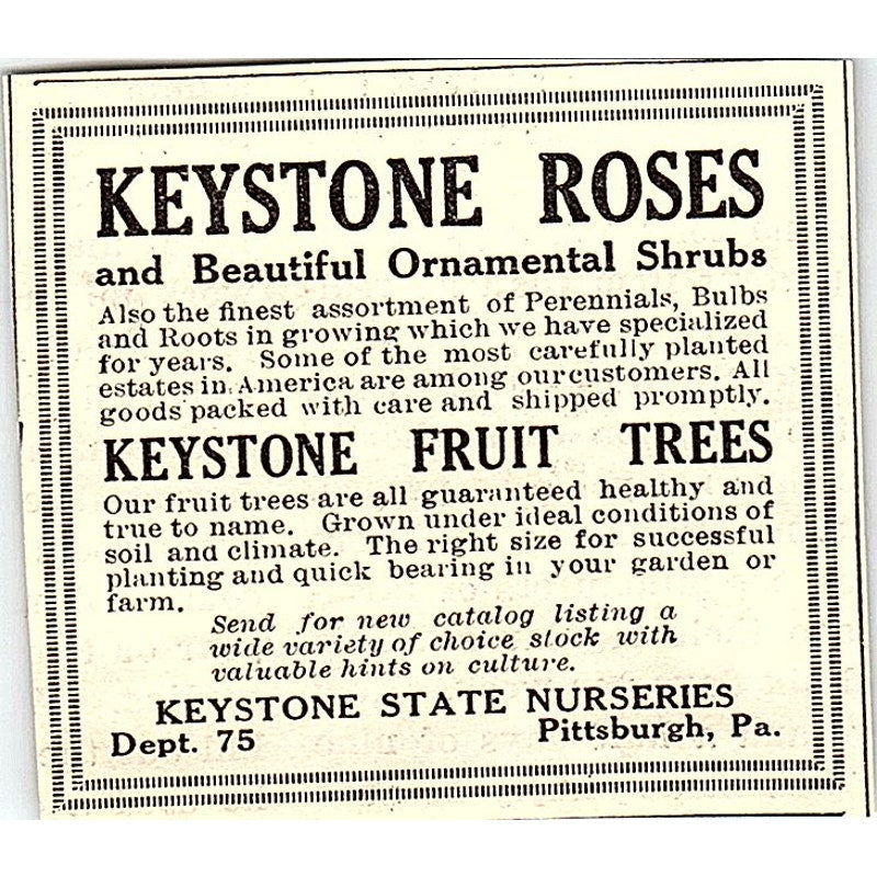Keystone State Nurseries Roses Shrubs Trees Pittsburgh PA 1924 Ad AG3-S18