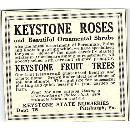 Keystone State Nurseries Roses Shrubs Trees Pittsburgh PA 1924 Ad AG3-S18