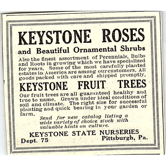 Keystone State Nurseries Roses Shrubs Trees Pittsburgh PA 1924 Ad AG3-S18