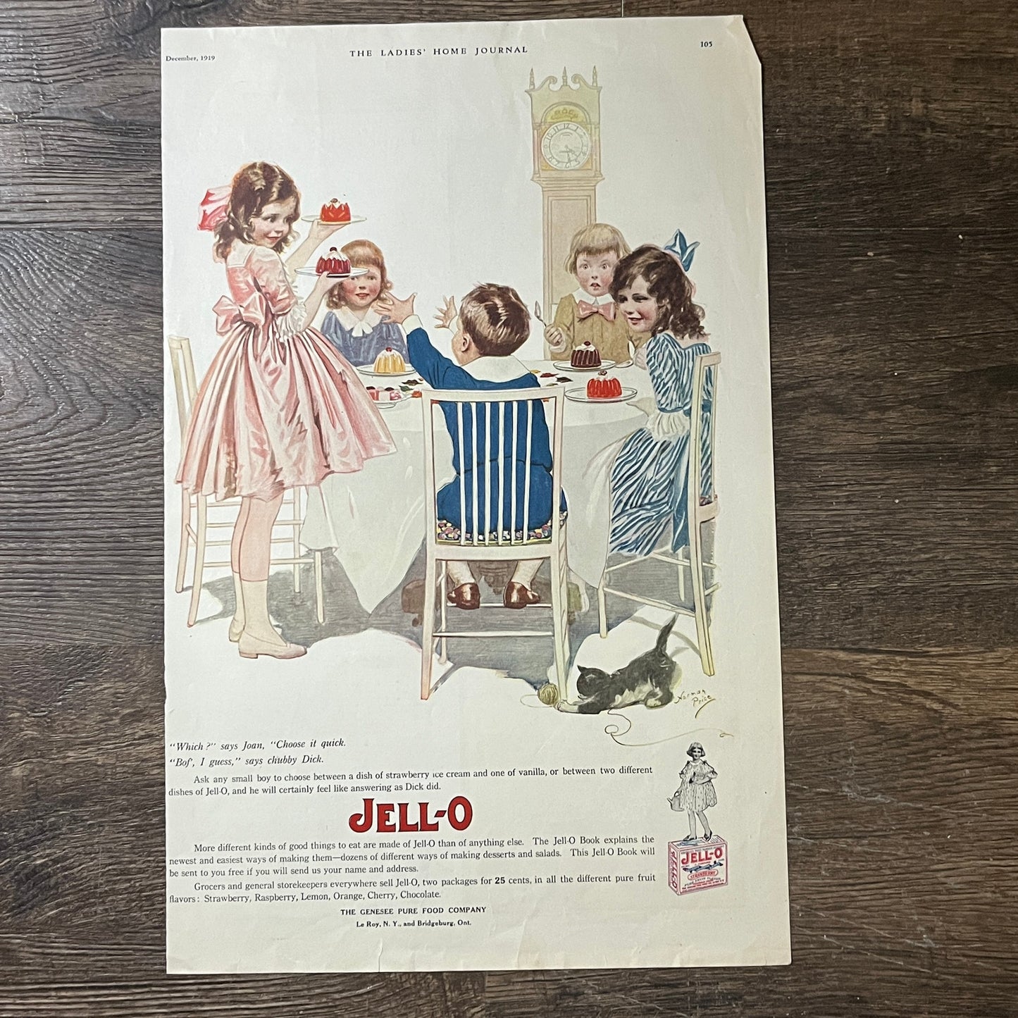 1919 Jell-o Jello Norman Price Children Kitten Yarn Magazine Ad 10x16 V10