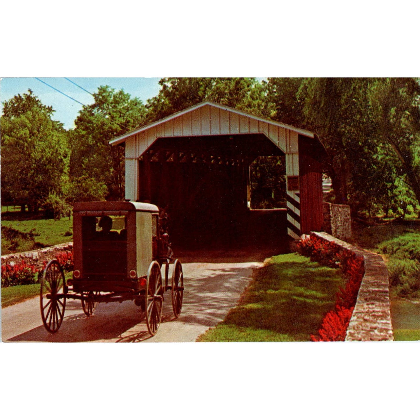 Amish Buggy & Old Covered Bridge Pennsylvania Dutch Country Postcard PD7