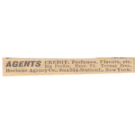Herbene Agency Co Agents Wanted New York 1910 Magazine Ad AF1-SS8