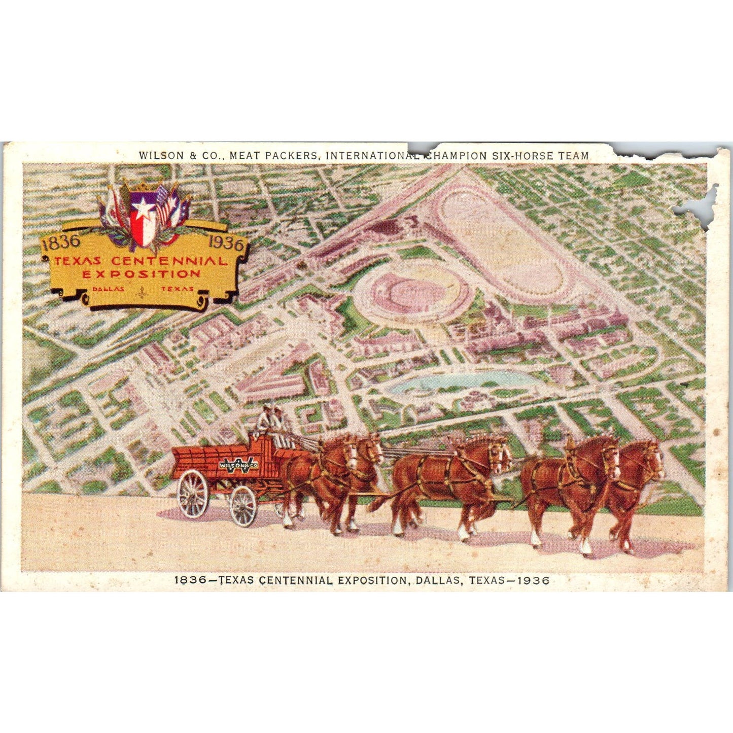1936 Texas Centennial Exposition Wilson &Co Meat Packers Horse Team Postcard PC8
