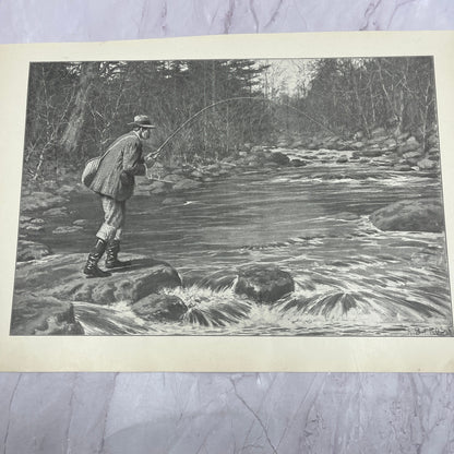 Trout Fishing - Fly Fishing - Original 1904 A.B. Frost Art Print V14-3