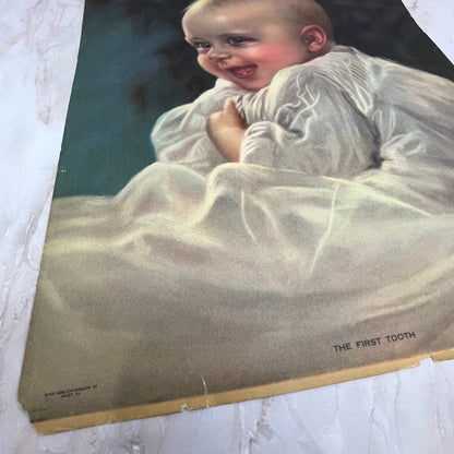 The First Tooth Adelaide Hiebel Vintage Art Print 11x14 FL6-4