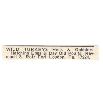 Raymond S. Rotz Wild Turkeys Fort London PA 1977 Ad AF6-S5