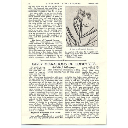 Fireweed in the Northwest W.L. Arant 3 Page Beekeeping Article 1926 AG3-9