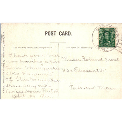 c1905 North Main Street View Marlow NH Original Postcard PC9