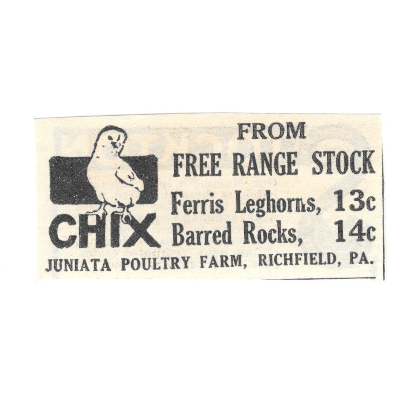 Juanita Poultry Farm Chicks Richfield PA 1924 Ad AG3-S3