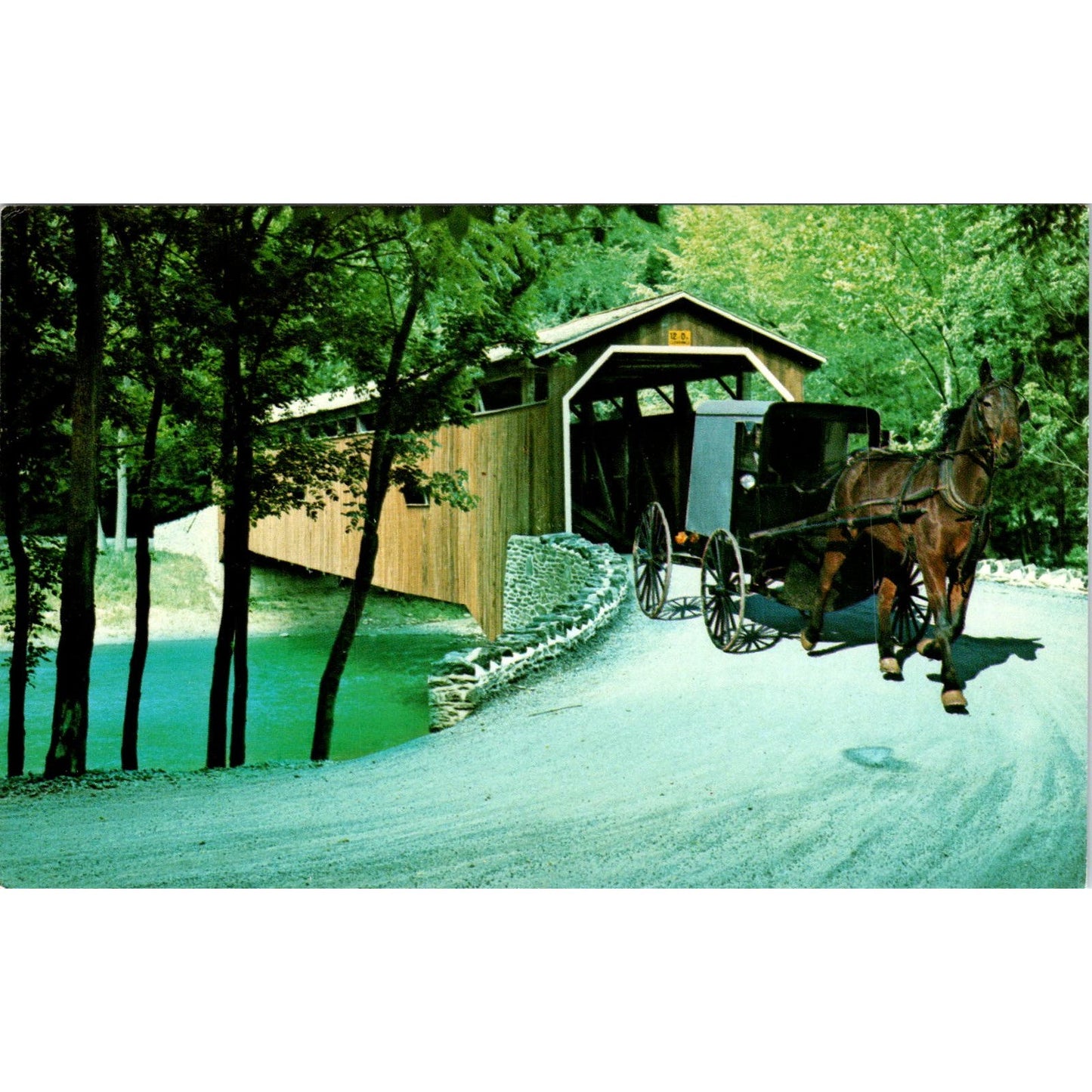 Amish Buggy Crossing a Covered Bridge PA Vintage Covered Bridge Postcard PD6