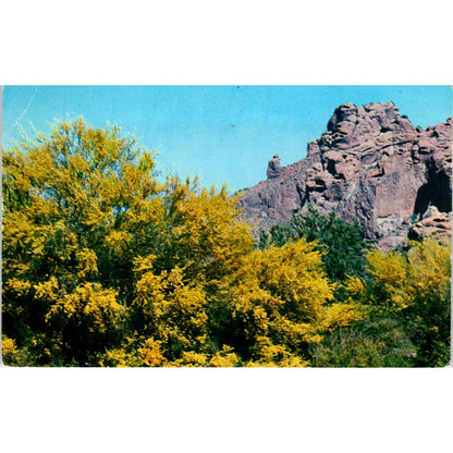 1965 Palo Verde and the Praying Monk Phoenix AZ Vintage Postcard PE2