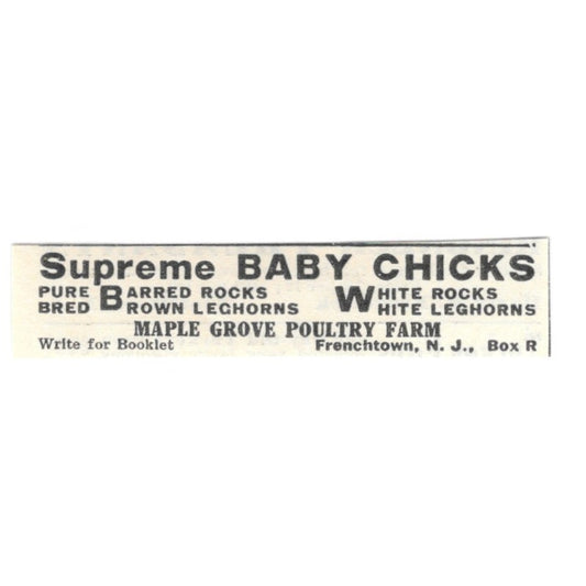 Maple Grove Poultry Farm Supreme Baby Chicks Frenchtown NJ 1924 Ad AG3-S5