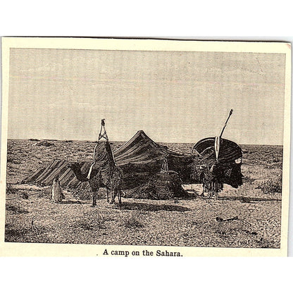 A Camp on the Sahara Desert 3x4" 1901 Engraving AF6-M14