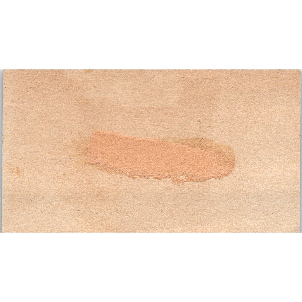 The Ritz Cafe Steaks Chops Seafood Carbondale IL Vintage Business Card AF7-E3