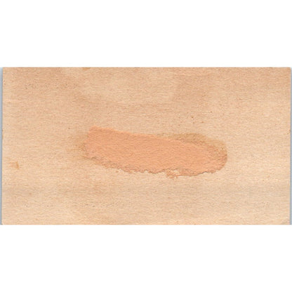 The Ritz Cafe Steaks Chops Seafood Carbondale IL Vintage Business Card AF7-E3