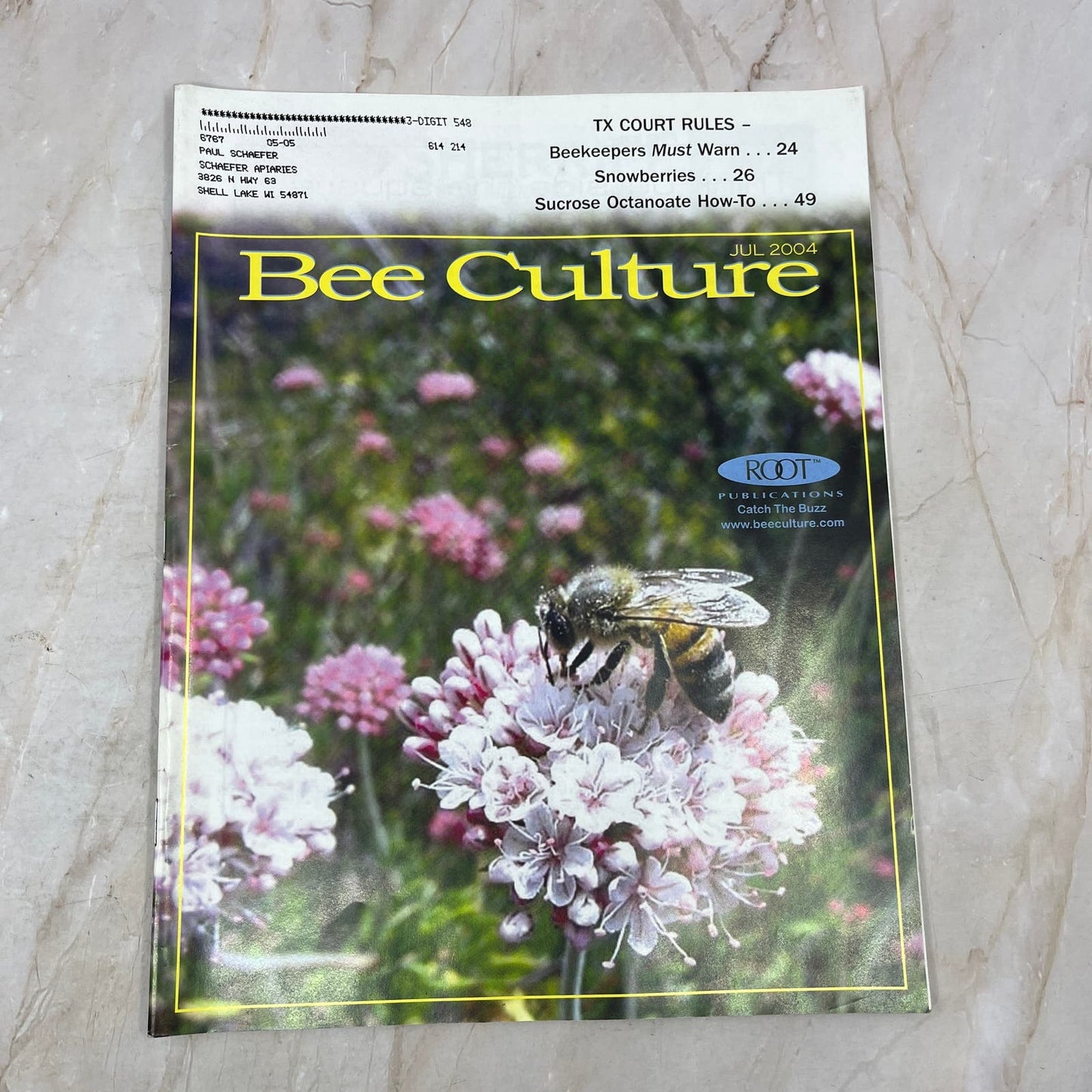 2004 July - Bee Culture Magazine - Bees Beekeeping Honey M9