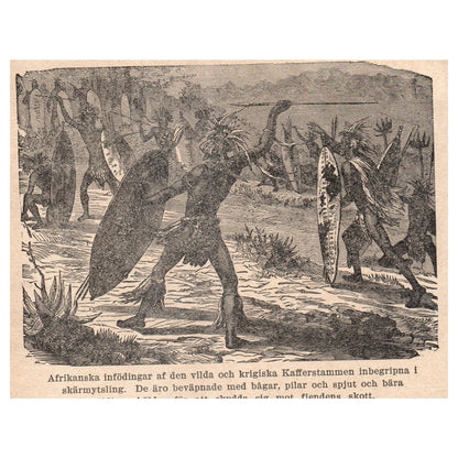 African Kaffir tribe engaged in skirmish 1909 Swedish Engraving Print AF5-15