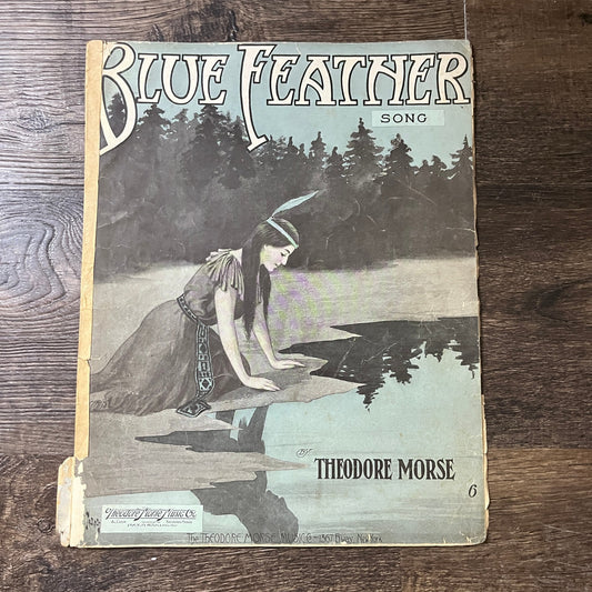 Blue Feather Song Theodore Morse 1909 Sheet Music V13