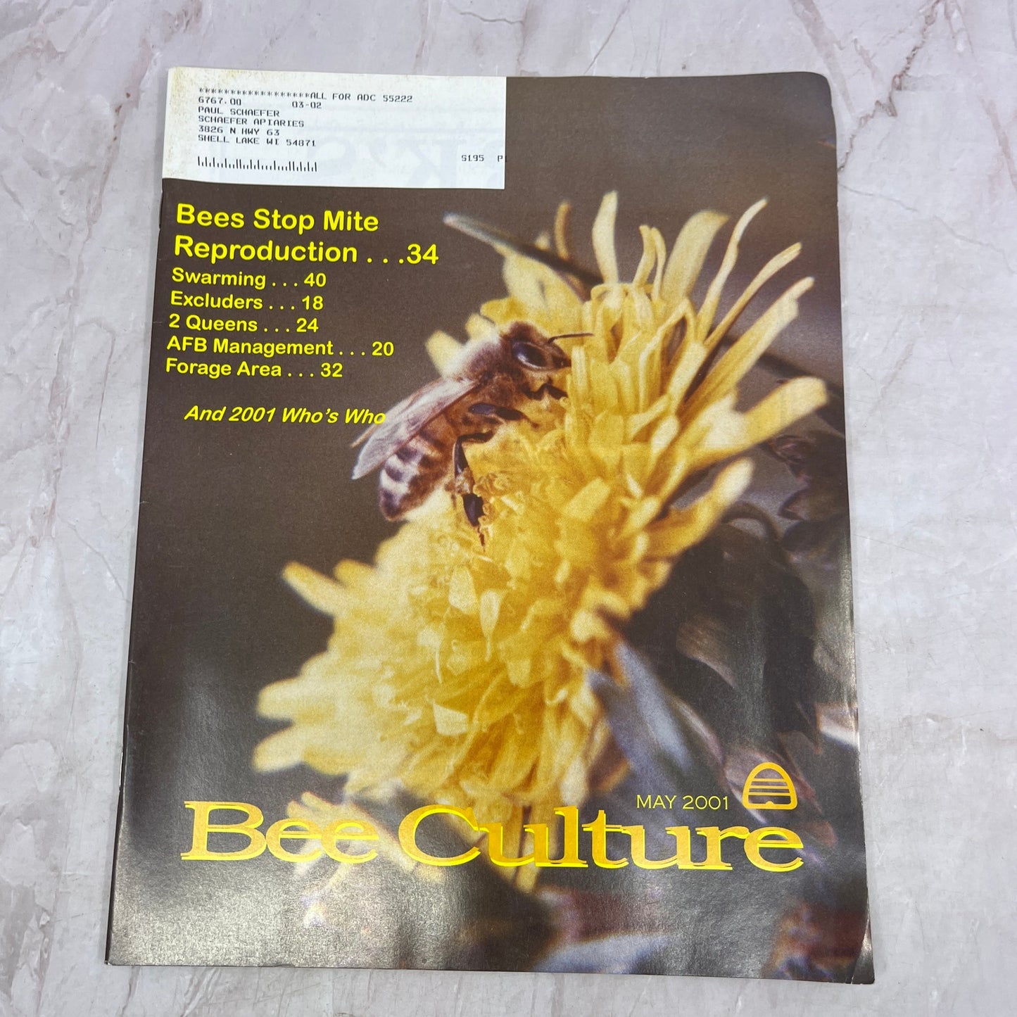 2001 May - Gleanings in Bee Culture Magazine - Bees Beekeeping Honey M32
