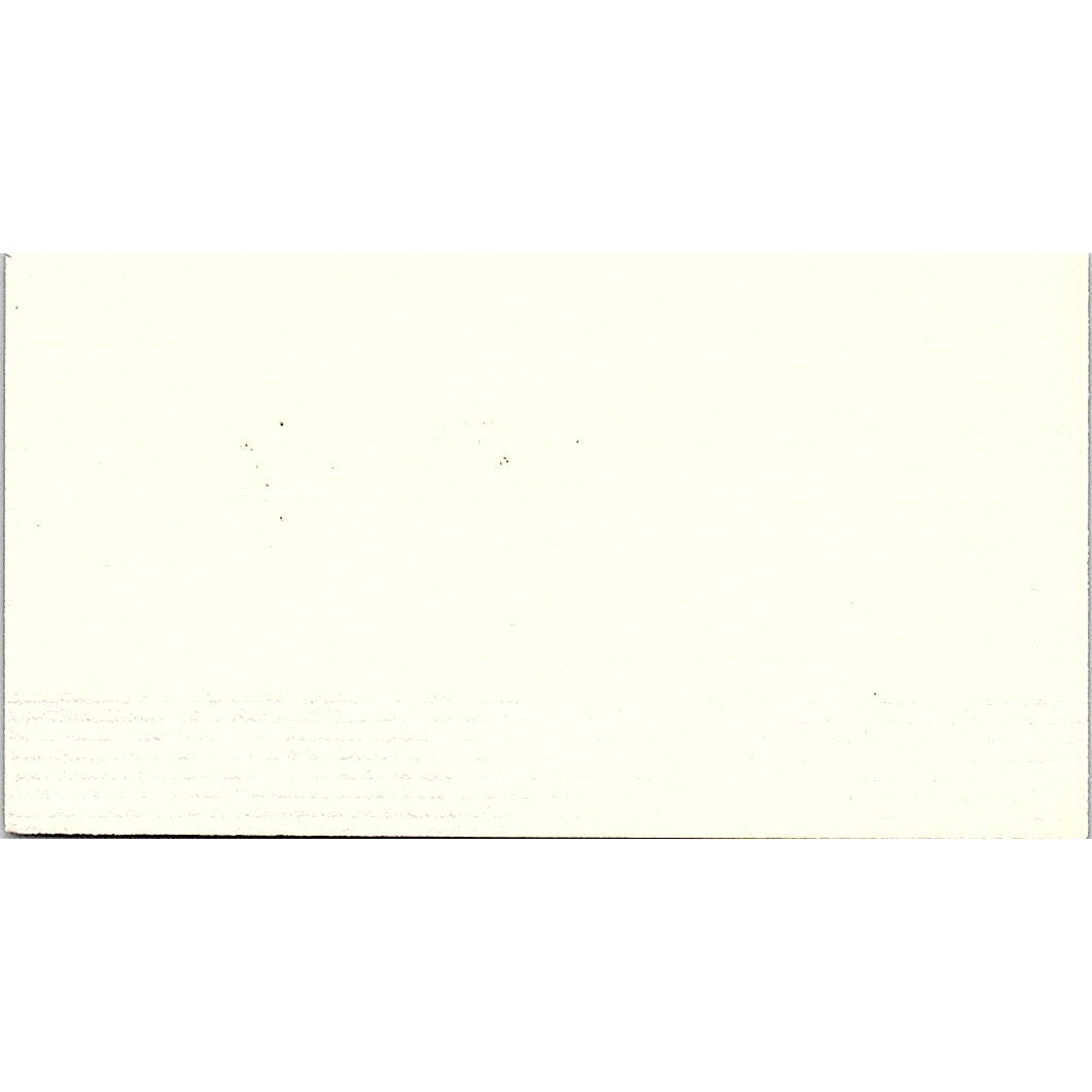 Padre & Sons Masonry, Landscaping Frank Louizu Temecula CA Business Card SC9-B9