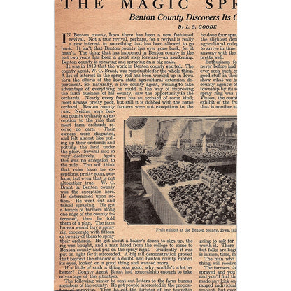Gold Medal Dynamite Illinois Powder Mfg Co St. Louis MO 1920 Ad AG2-6