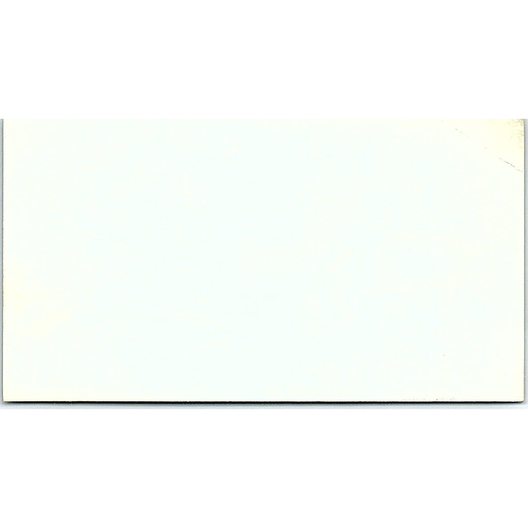 Dixie Land Dixie Hoiseth Solvang California Vintage Business Card SF3-B4