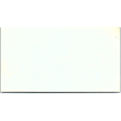 Dixie Land Dixie Hoiseth Solvang California Vintage Business Card SF3-B4