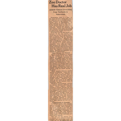 Minnesota Gophers Football Sam Hunt Andy Uram 1935 Newspaper Article AE7-N3