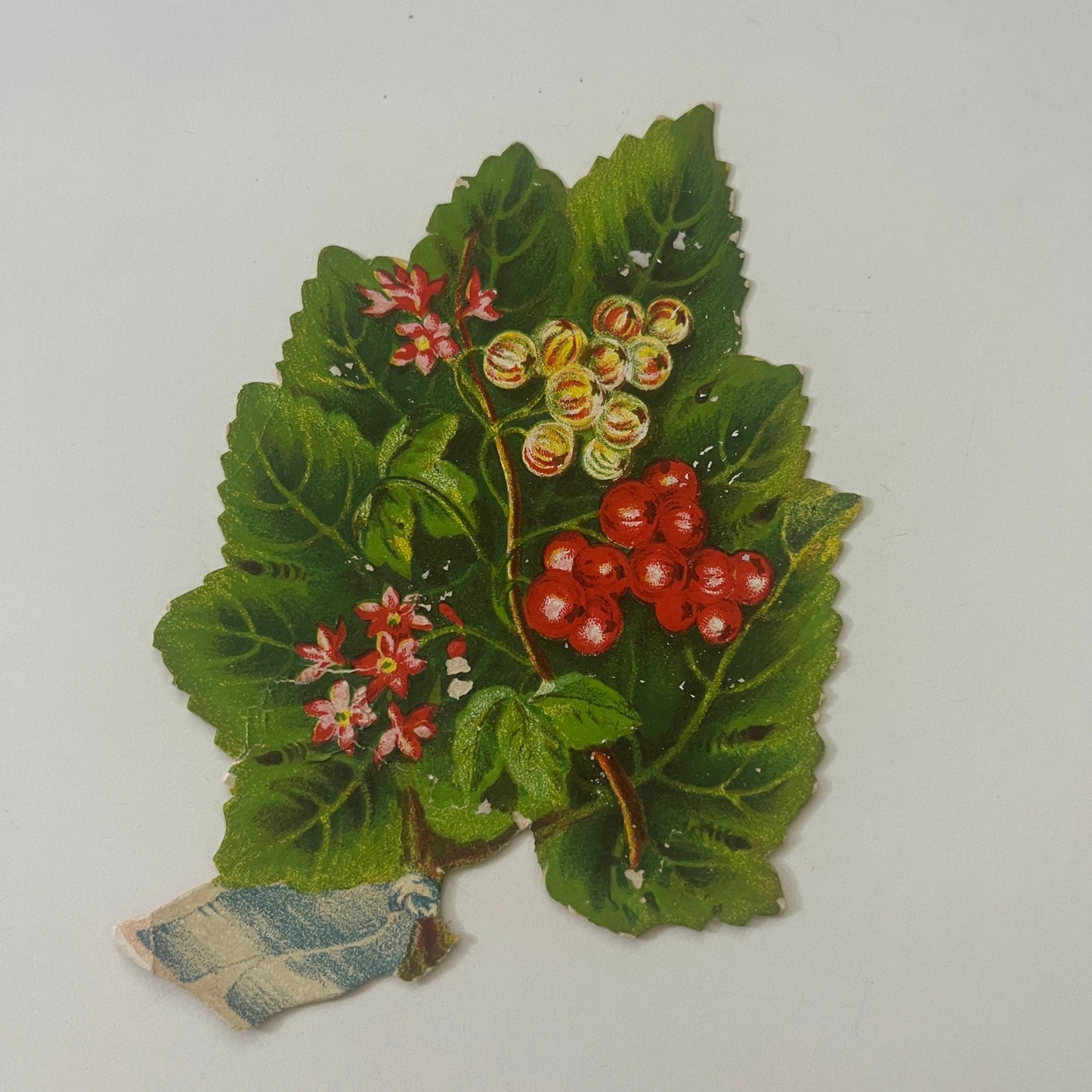 1880s Embossed Victorian Die Cut Bluxome Lace Fans 21st St NY 3x4" SAH9-H7