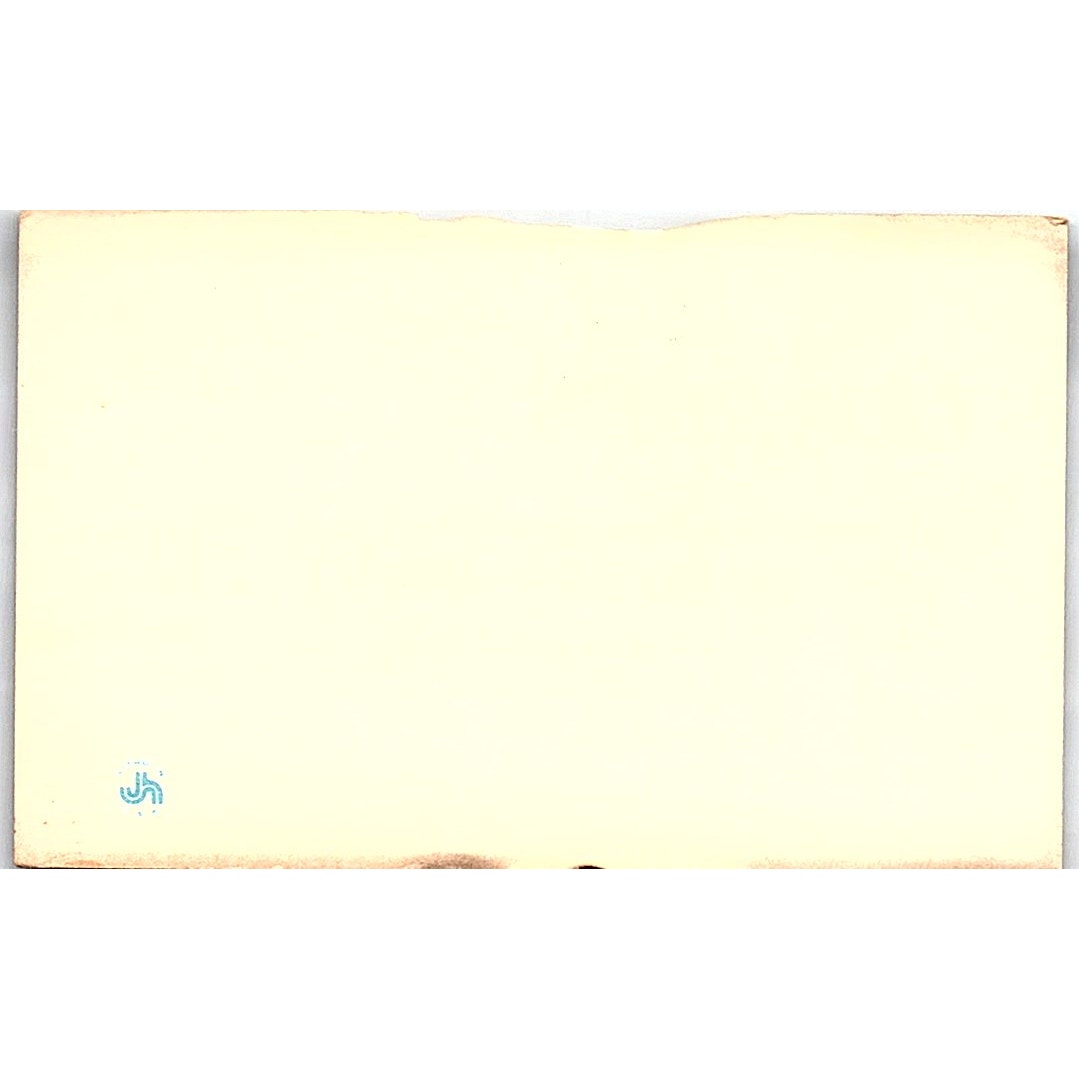 Amo Flowers, Krazy Daisy Florist, Long Beach & Brea, CA Business Card SF3-B8