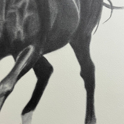 Black Stallion Horse Charcoal Print Signed C. Buckley #150 - 16x20"
