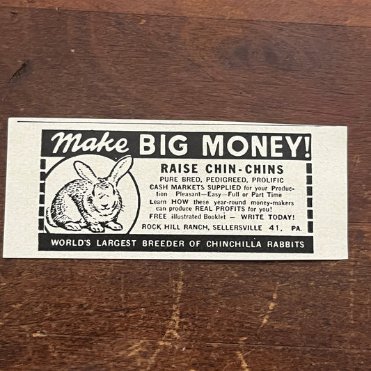 Rock Hill Ranch Sellersville Raise Chin-Chins Chinchilla Rabbits 1955 Ad AF9-S1