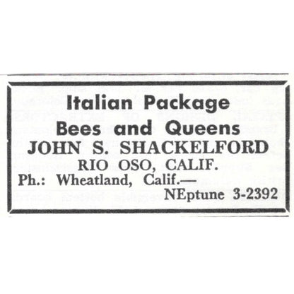 Italian Queens John S. Shackelford Rio Oso California 1961 Magazine Ad AK6-S13