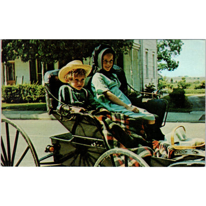 Amish Children Wait in Buggy Pennsylvania Dutch Country Vintage Postcard PD5