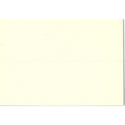 Dryburgh Abbey: Tomb of Sir Walter Scott R.W. Haslehust Art Print 6x9 V19