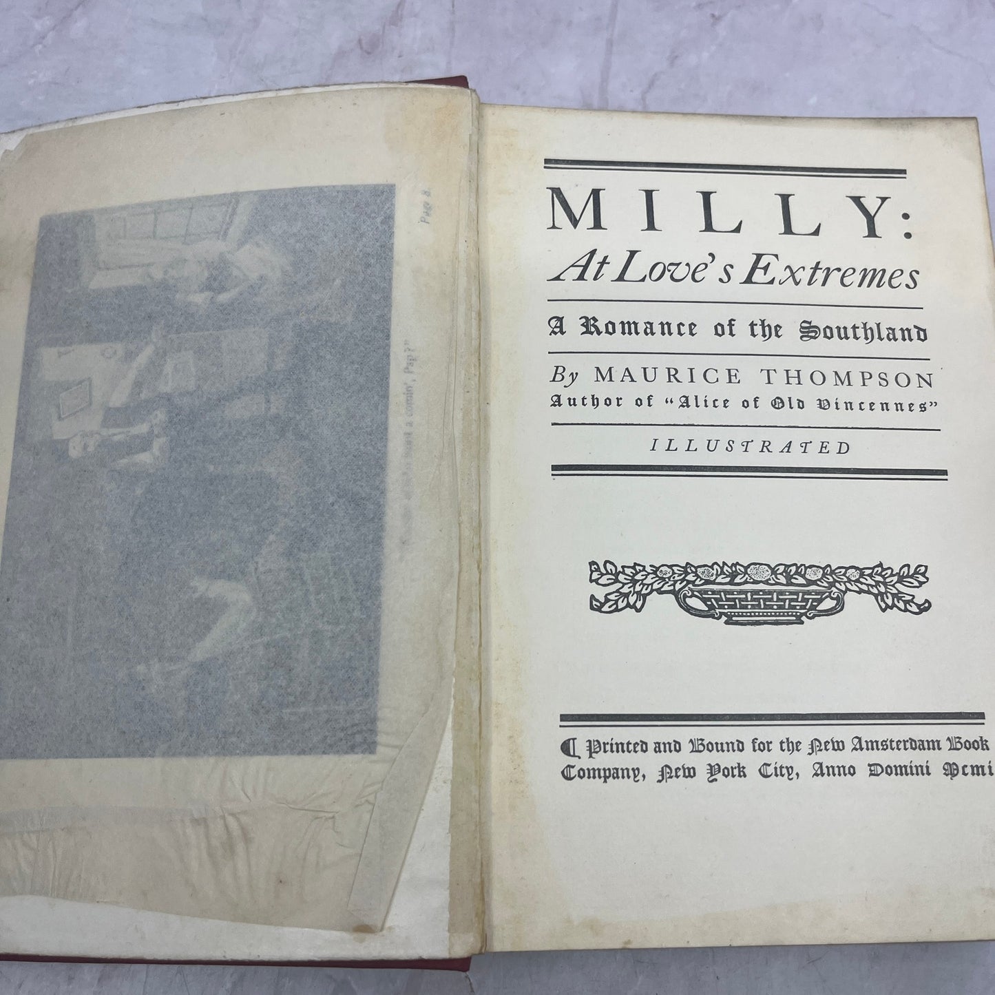 1901 Milly At Love's Extremes A Romance of the Southland Maurice Thompson TE3-OB