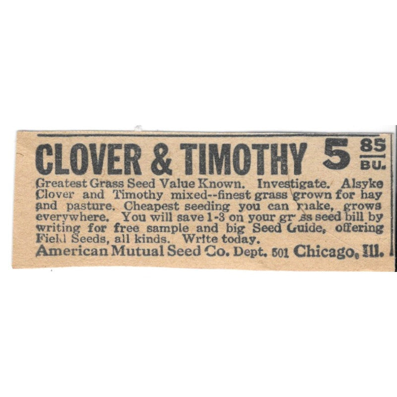 Clover & Timothy American Mutual Seed Co Chicago IL 1920 Ad AG2-S8