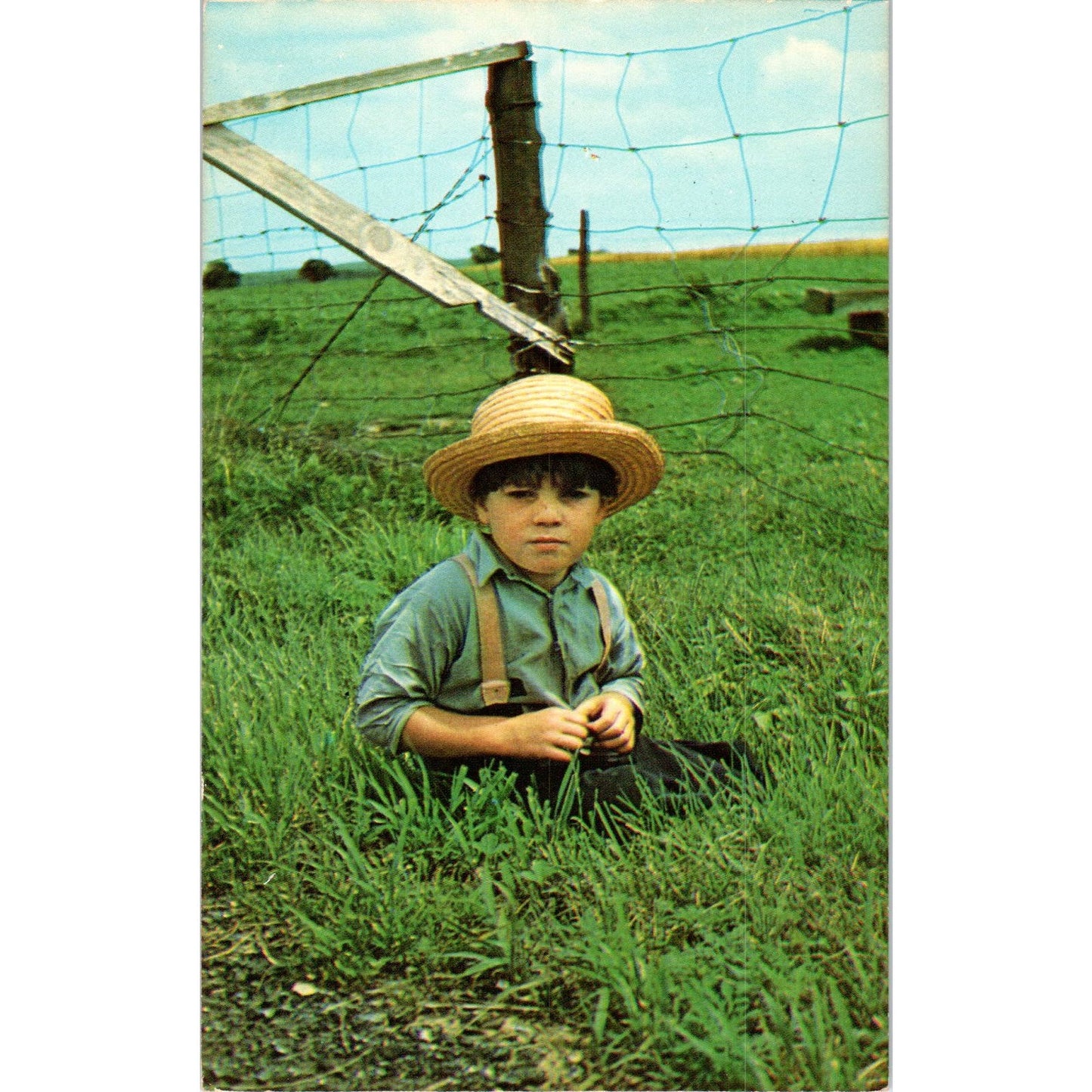 Young Amish Boy in Pennsylvania Dutch Country Vintage Postcard PD5